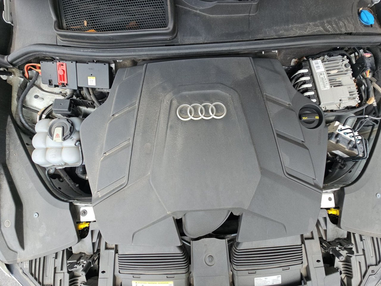 2019 AUDI Q8 PRESTIGE