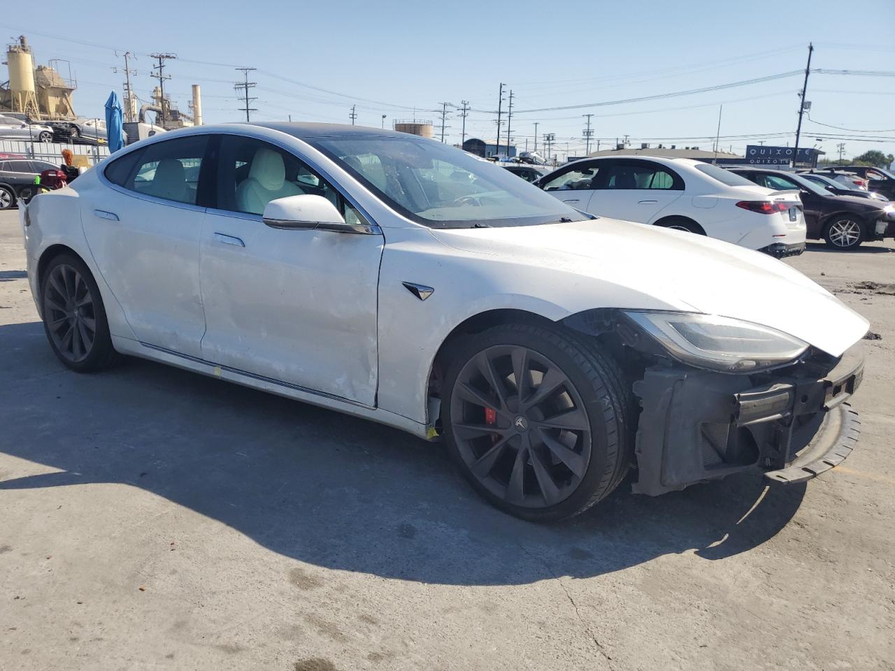 TESLA MODEL S PERFORMANCE RAVEN