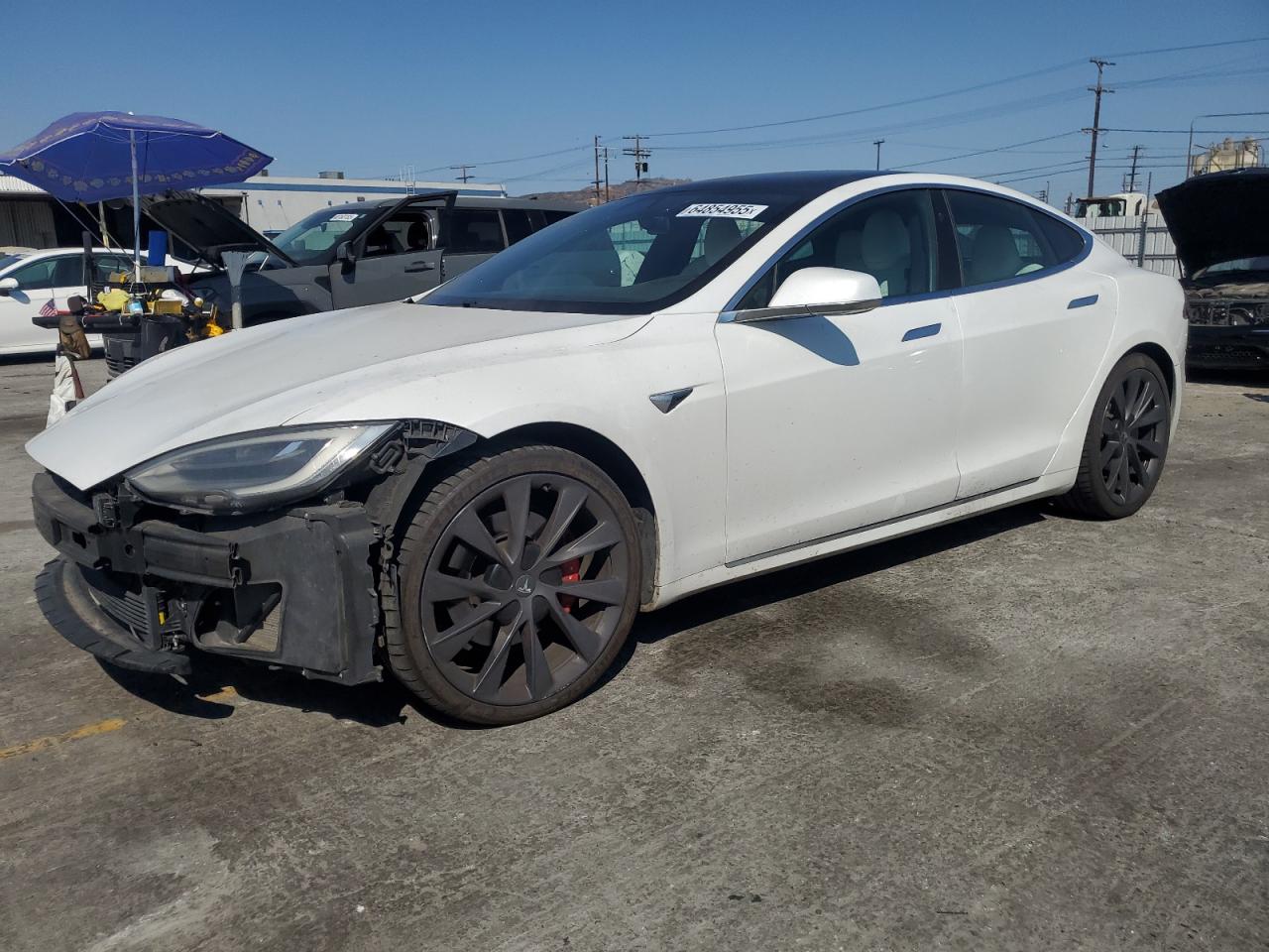 TESLA MODEL S PERFORMANCE RAVEN