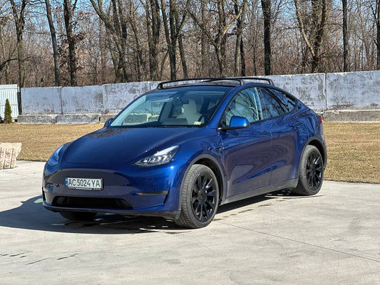 2021 TESLA MODEL Y LR DM