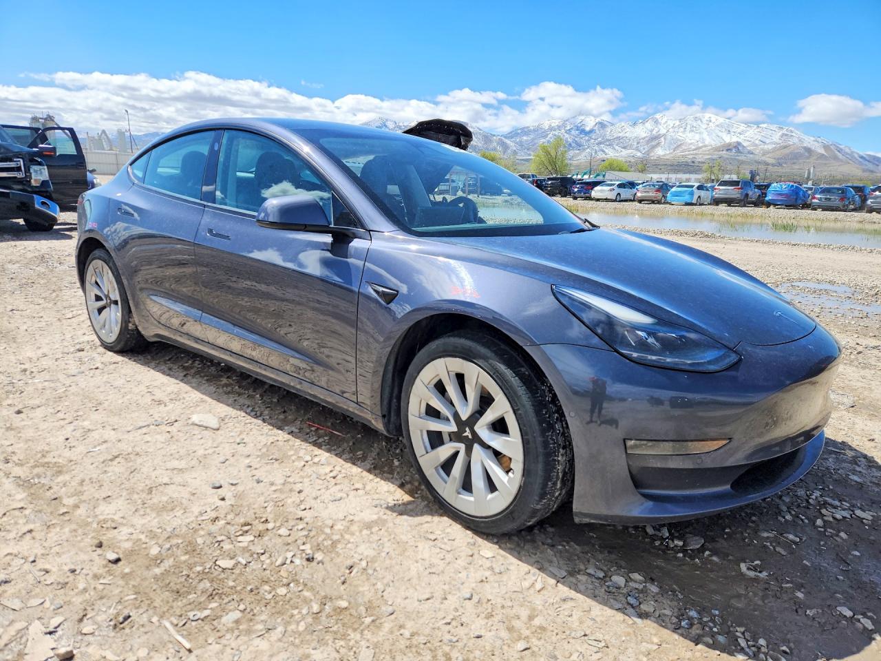 2022 TESLA MODEL 3 LR DM