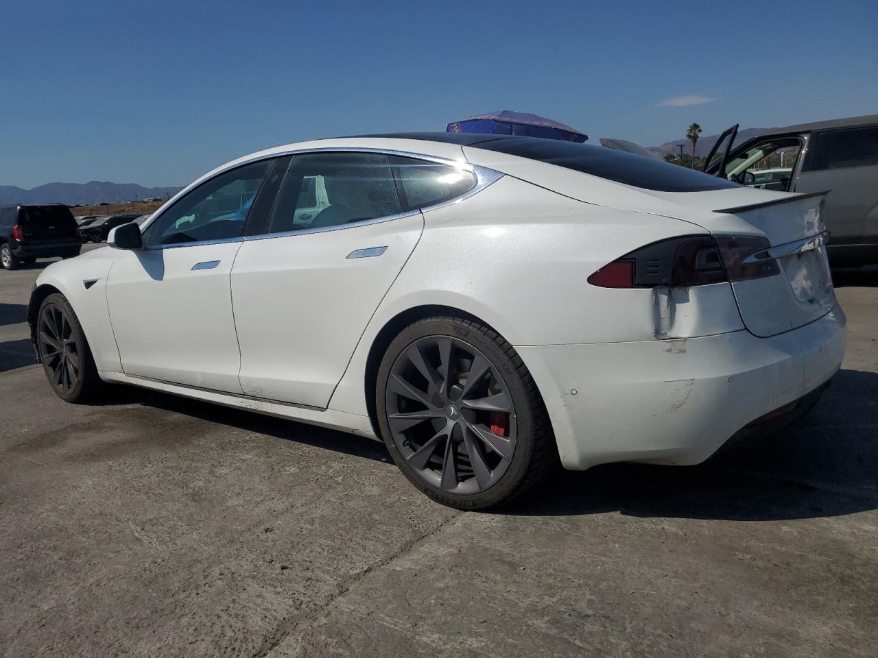 TESLA MODEL S PERFORMANCE RAVEN